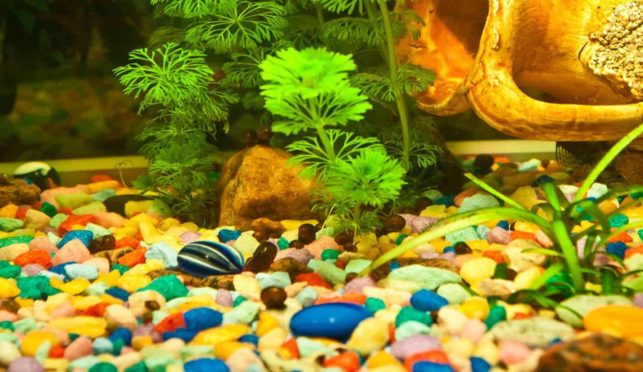 best gravel for goldfish aquarium