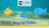 Fish swimming over Aquarium Sand