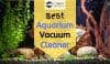 Aquarium with gravel cleaned from one of the best vacuum cleaner