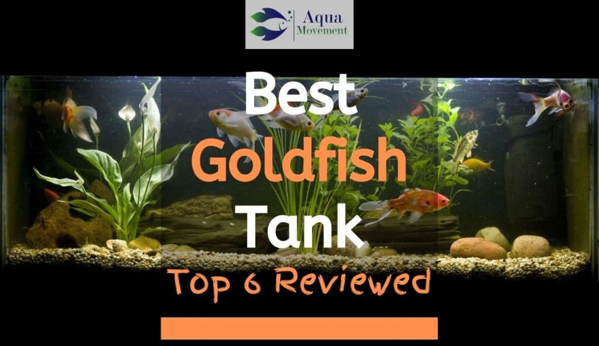best temperature for goldfish tank
