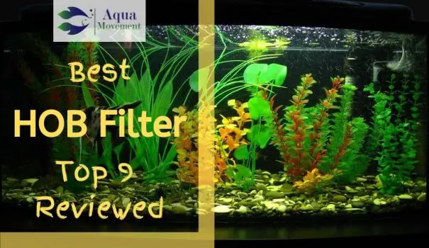 Best Light Spectrum For Aquarium Plants | Aqua Movement