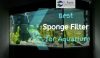 Aquarium with one of the best sponge fillter inside