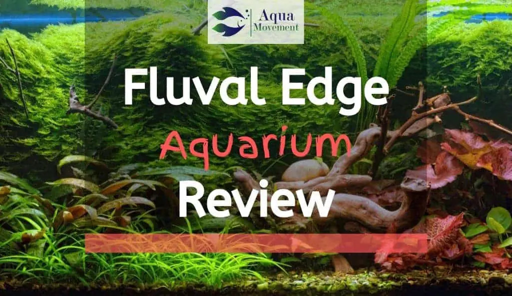 Aquarium with red and green plants "Fluval Edge Aquarium Review" lettering
