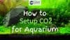 Image from Planted Tank with "How to Setup CO2 for Aquarium" text overlay