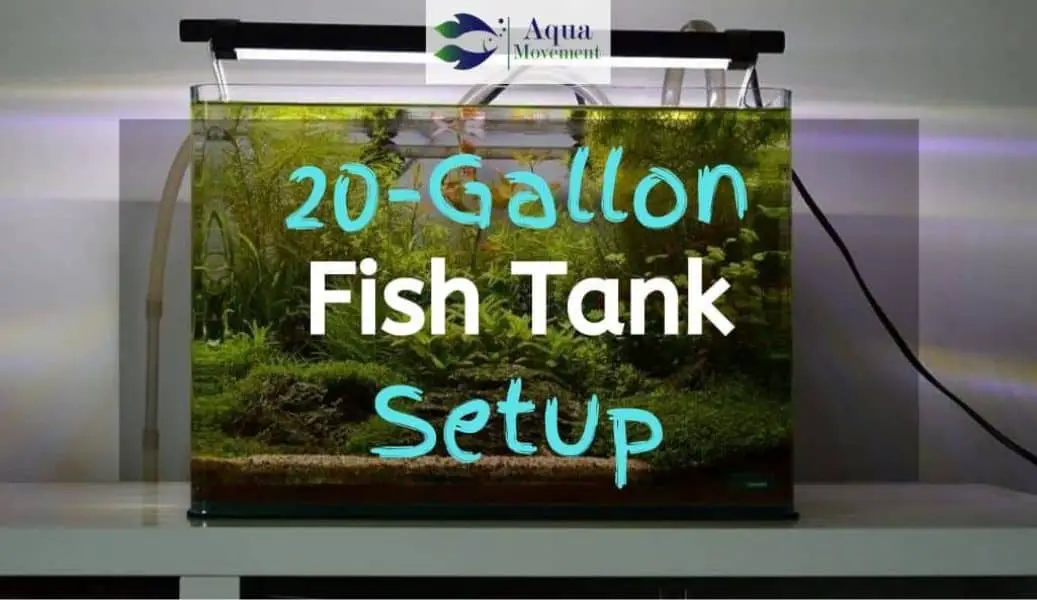 How to get rid of Green Water in Fish Tank | Aqua Movement