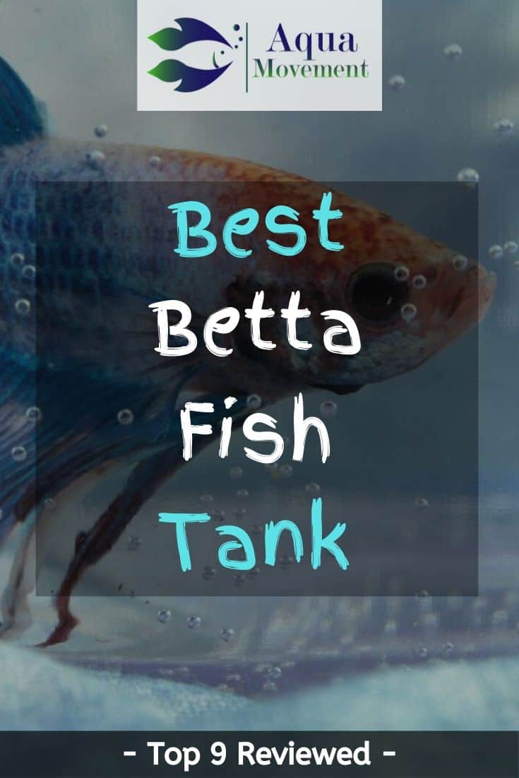 Best Betta Fish Tank - Which one is the Coolest? | Aqua Movement