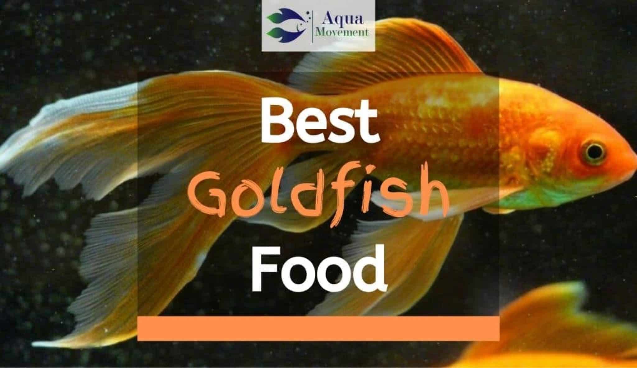 7 Best Goldfish Food Brands - Feeding Guide | Aqua Movement