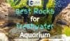 freshwater aquarium with rocks inside