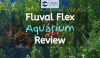 Fish swimming in a fluval flex aquarium