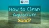 A lot of clean sand in a aquarium