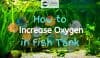 Fish tank with "how to increase oxygen" text overlay