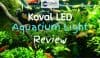 Fish Tank with Aquarium Light