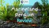 aquarium with fish inside and text overlay " marineland penguin review"