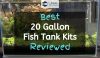 20 gallon fish tank with plants