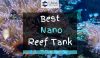 Nano reef tank with Clown Fish inside
