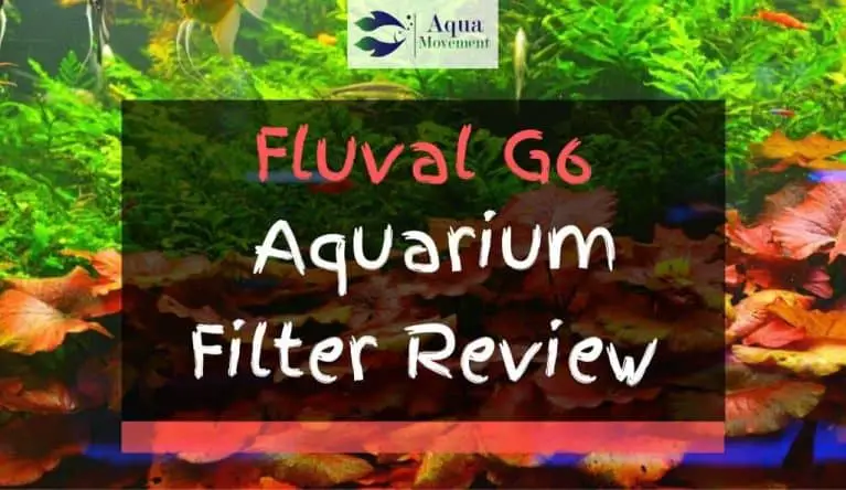 Fluval G6 Filter Review – One Of The Best?