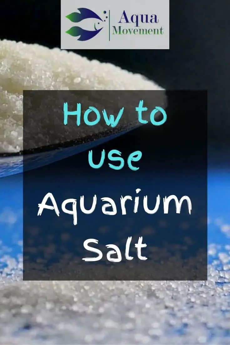 how-to-use-aquarium-salt-for-betta-fish-aqua-movement