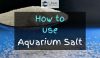 Aquarium Salt on a Spoon