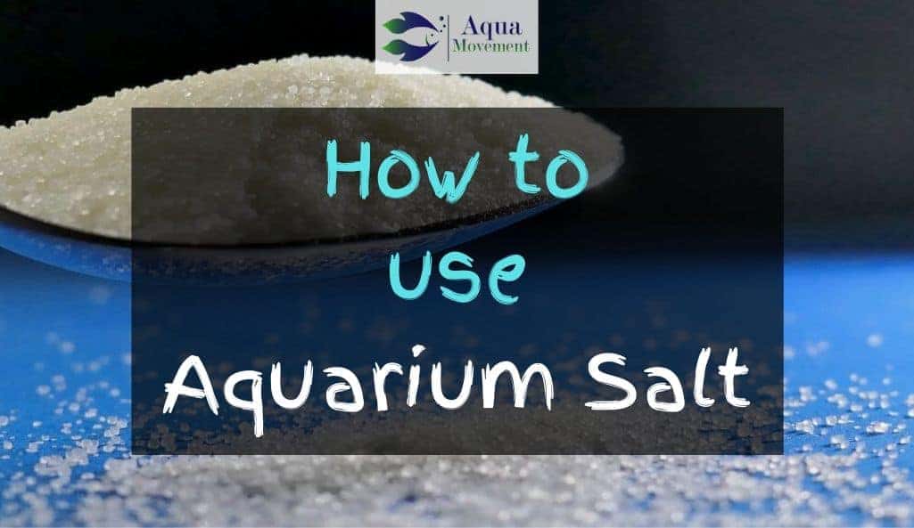 aquarium salt betta treatment