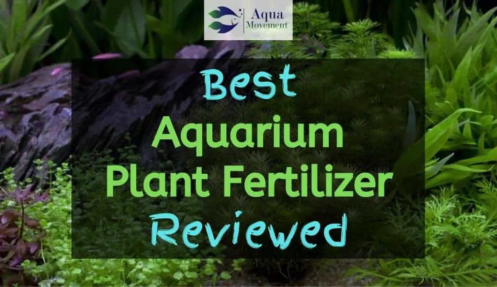 best aquarium plant fertilizer