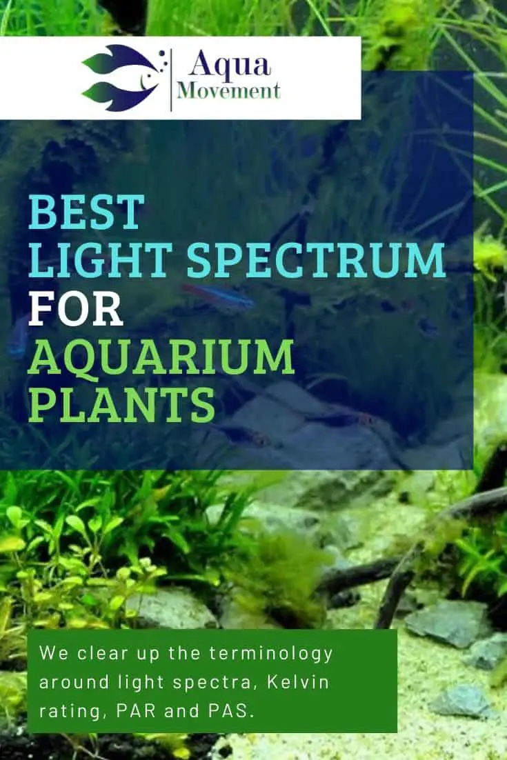 Best Light Spectrum for Aquarium Plants Aqua Movement