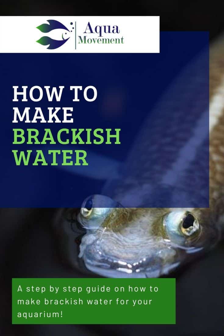 How to make Brackish Water for Aquarium | Aqua Movement