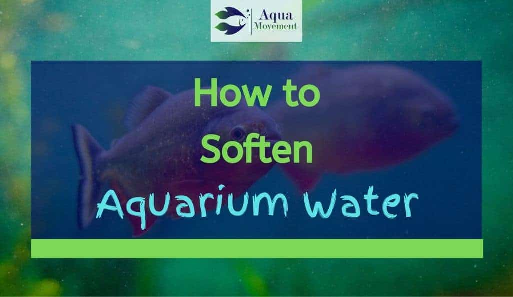 5 Ways On How To Soften Aquarium Water Aqua Movement