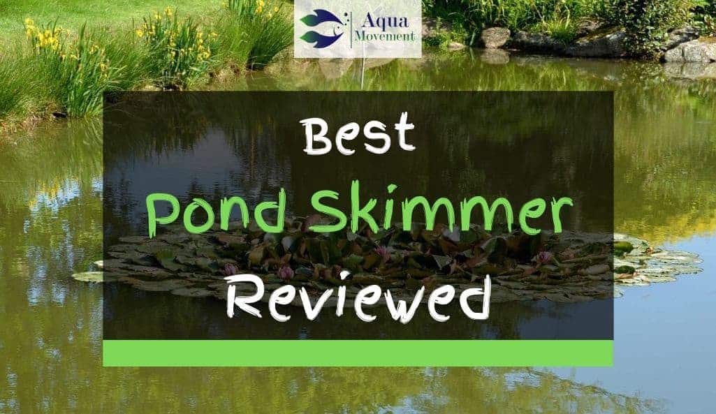 best pond skimmer