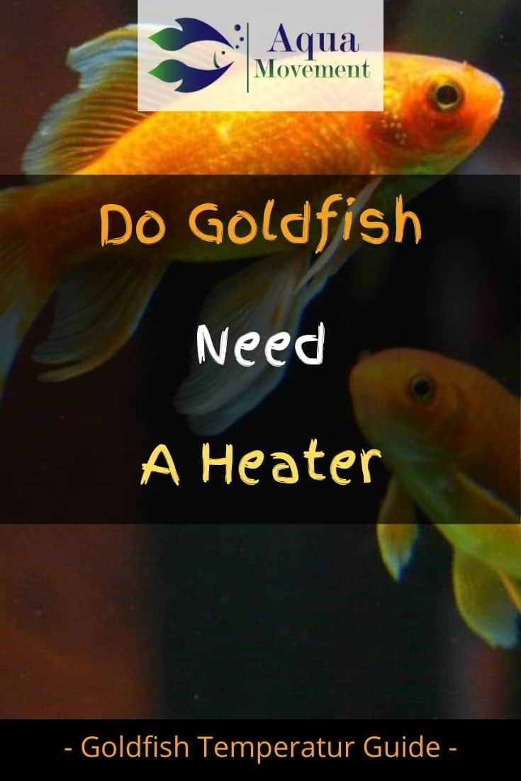 heater temperature for goldfish