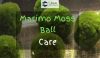 Marimo Moss Balls