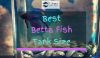 Betta Fish in a small size tank