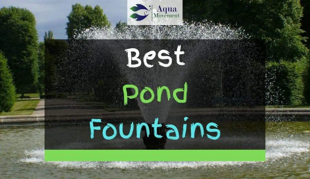 Large Pond Fountain
