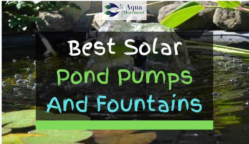 Pond with Solar Fountain