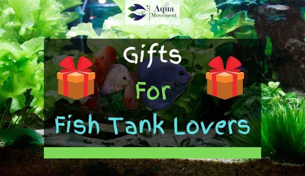 17 Gift Ideas For Fish Tank Lovers | Aqua Movement