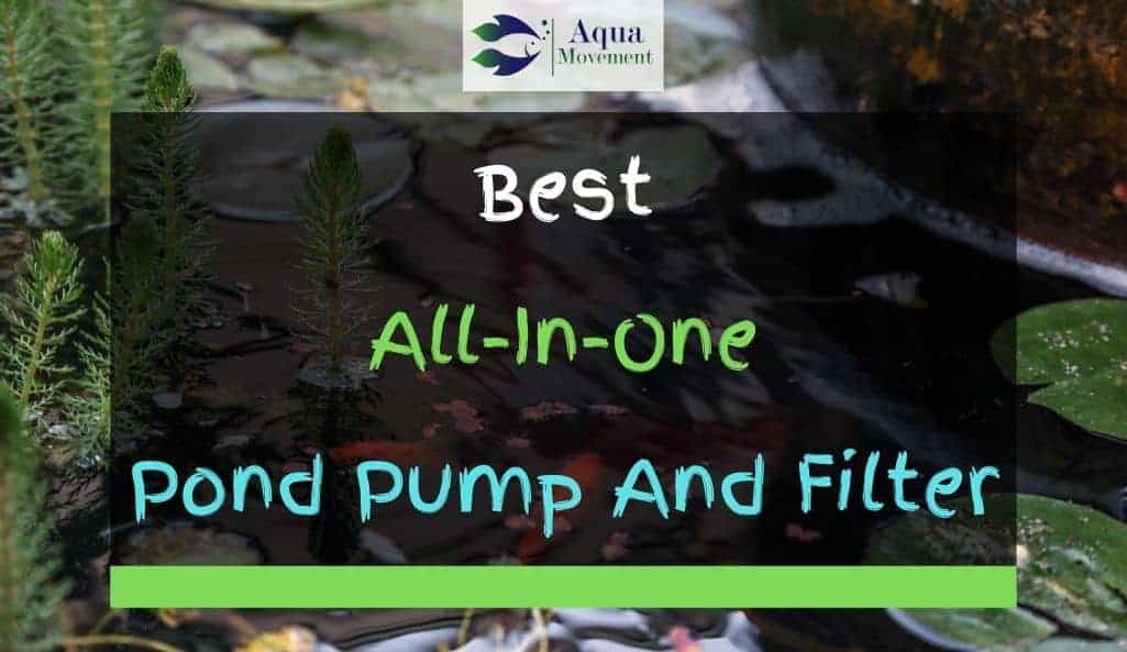 aqua one pond pump