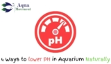 How to Lower PH in Freshwater Aquarium Naturally