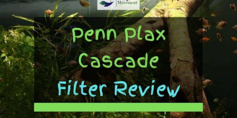 Penn Plax Cascade 500 700 1000 1200 1500 Filter Review