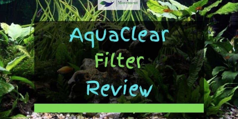 AquaClear 20 30 50 70 110 Filter Review