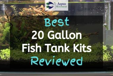 Best 20 Gallon Fish Tank Kits In 2023
