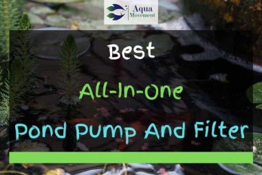 9 Best All-In-One Pond Pumps And Filters in 2023