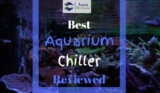 Best Aquarium Chiller for Freshwater, Saltwater, and Reef Tank (2023 Reviews)
