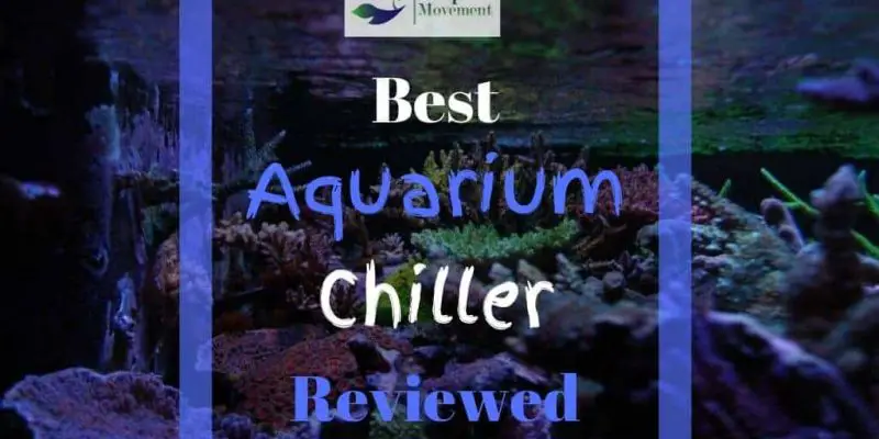 Best Aquarium Chiller for Freshwater, Saltwater, and Reef Tank (2023 Reviews)