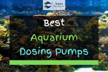 5 Best Aquarium Dosing Pumps In 2022