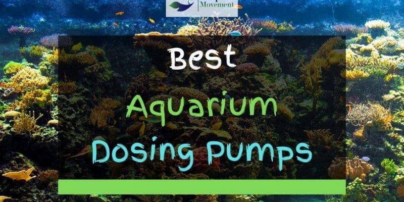 5 Best Aquarium Dosing Pumps In 2023