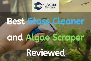8 Best Aquarium Glass Cleaner and Algae Scraper (2023 Reviews)