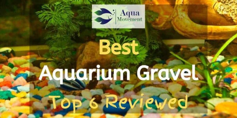 6 Best Aquarium Gravel in different Colors (including Red, Black, Blue, Yellow, and Green) Reviewed