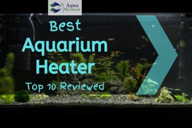 10 Best Aquarium Heater for Freshwater & Saltwater (2022 Reviews)