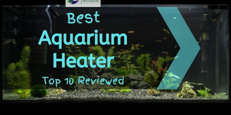 10 Best Aquarium Heater for Freshwater & Saltwater (2023 Reviews)