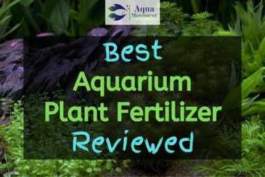 Best Aquarium Plant Fertilizer – Top 7 Review