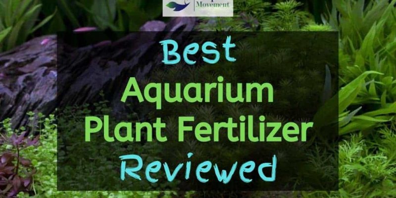 Best Aquarium Plant Fertilizer – Top 7 Review
